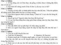 đề Thi Học Sinh Giỏi Mon Sinh Học Lớp 8 Co đap An đề Thi Hsg