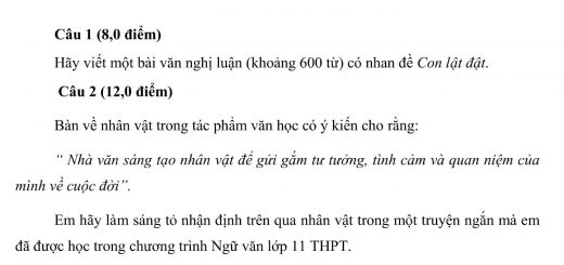 Đáp án và đề thi HSG Ngữ Văn 11 sở GD&ĐT Thái Nguyên 2011-2012