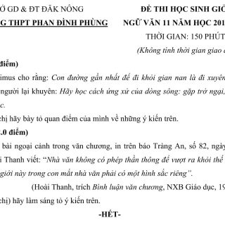 Đáp án và đề thi HSG Ngữ Văn 11 sở GD&ĐT Đắk Nông 2015-2016
