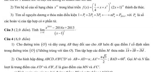 Đáp án và đề thi HSG Toán 11 sở GD&ĐT Bắc Giang 2013-2014