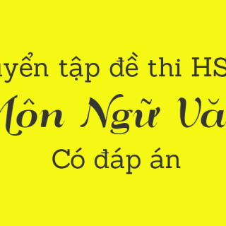 Tuyển tập chọn bộ đề thi HSG môn Ngữ Văn các lớp, cấp trường, huyện, tỉnh, thành phố có đáp án