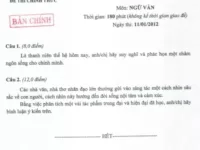 Đề thi tuyển chọn học sinh giỏi quốc gia 2018 môn Ngữ văn có đáp án
