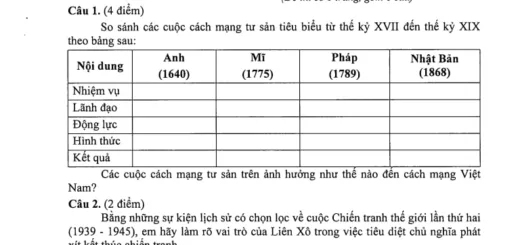 Đề thi học sinh giỏi Lịch Sử tỉnh Kiên Giang