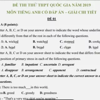 ĐỀ THI THỬ THPTQG TIẾNG ANH 2019 (CÓ KÈM ĐÁP ÁN)