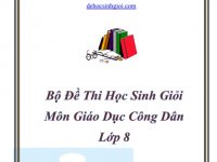 Bộ đề thi HSG và đáp án môn Giáo Dục Công Dân lớp 8 hay và khó
