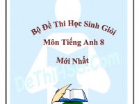 Bộ đề thi HSG môn Tiếng Anh lớp 8 mới nhất kèm đáp án chi tiết
