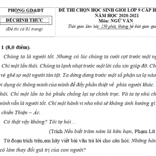 ĐỀ THI HỌC SINH GIỎI MÔN NGỮ VĂN LỚP 9 CÓ ĐÁP ÁN