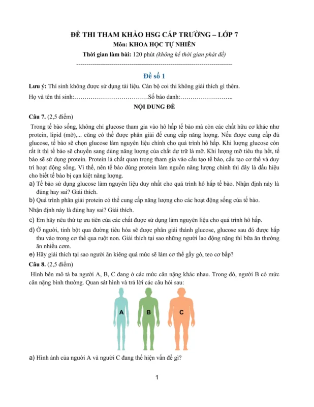 Bộ 30 đề HSG anh 7 thí điểm năm học 2021 2022 (có file nghe)