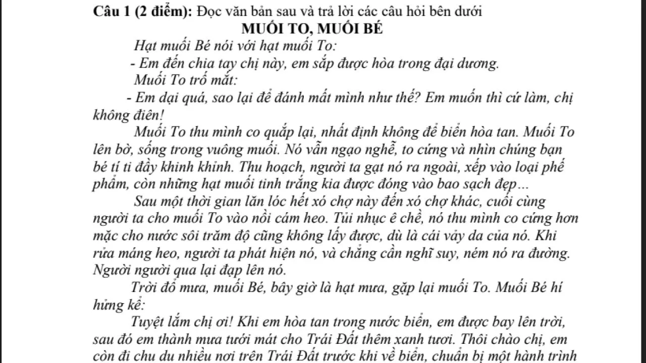 Đề kiểm tra học sinh giỏi lớp 9 môn Ngữ văn ngày 6-8-2021 năm học 2021-2022 Phòng GD&ĐT Quảng Yên-2.