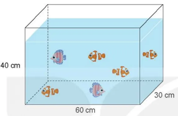 Sơ đồ minh họa kích thước bể cá trong bài giải toán lớp 5 trang 118