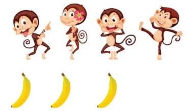 Bài toán so sánh số lượng khỉ và chuối, rèn luyện kỹ năng so sánh khi giải toán Kangaroo