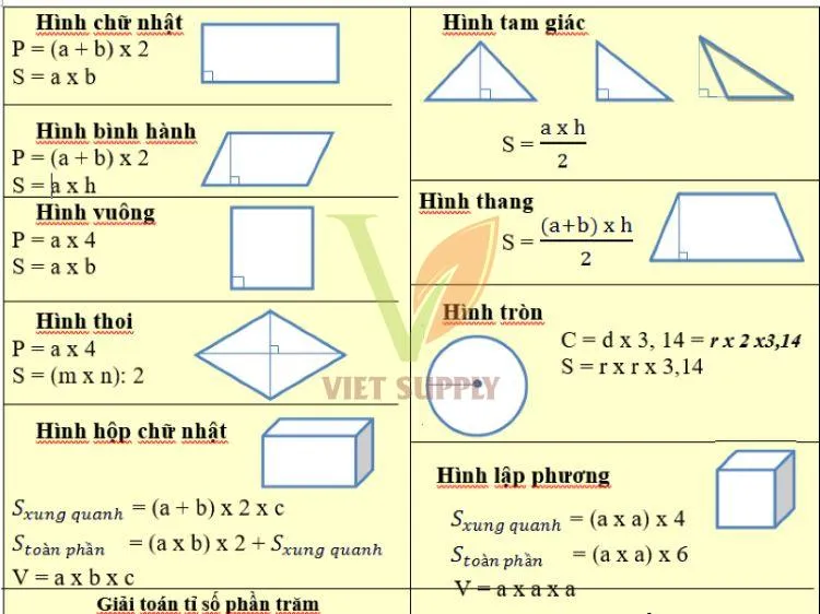 Minh họa về chuyên đề hình học lớp 5 cần nắm vững