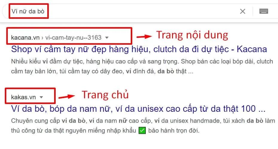 Hình ảnh minh họa kết quả tìm kiếm cho thấy sự hiện diện của các nguồn thông tin chính thức hoặc uy tín