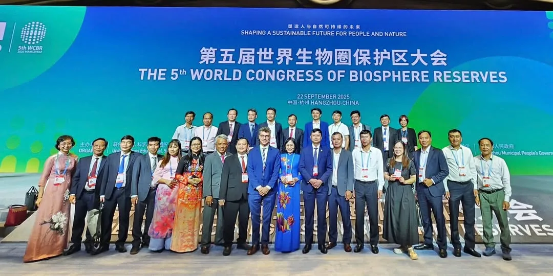 Định Lý Số Dư Trung Hoa: Lý Thuyết, Công Thức Và Ứng Dụng Chuyên Sâu Trong Số Học