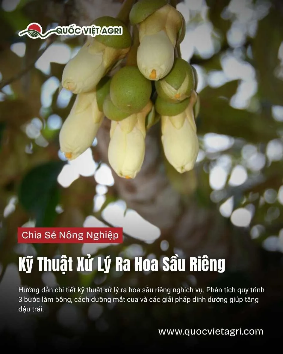 Hướng Dẫn Tổng Quan Và Phương Pháp cách giải toán tỉ lệ nghịch Hiệu Quả Nhất