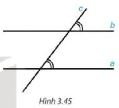 Hình 3.45 minh họa hai góc đồng vị khi đường thẳng cắt hai đường song song