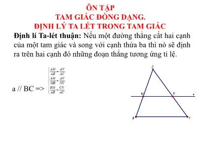 Bài giảng định lý Talet minh họa hình học trong tam giác
