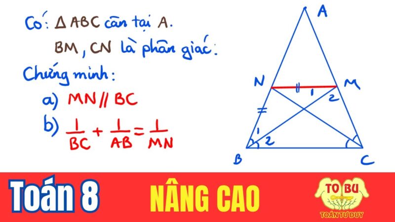 Các Bài Tập Về Định Lý Talet: Hướng Dẫn Chi Tiết Và Phương Pháp Giải Nâng Cao