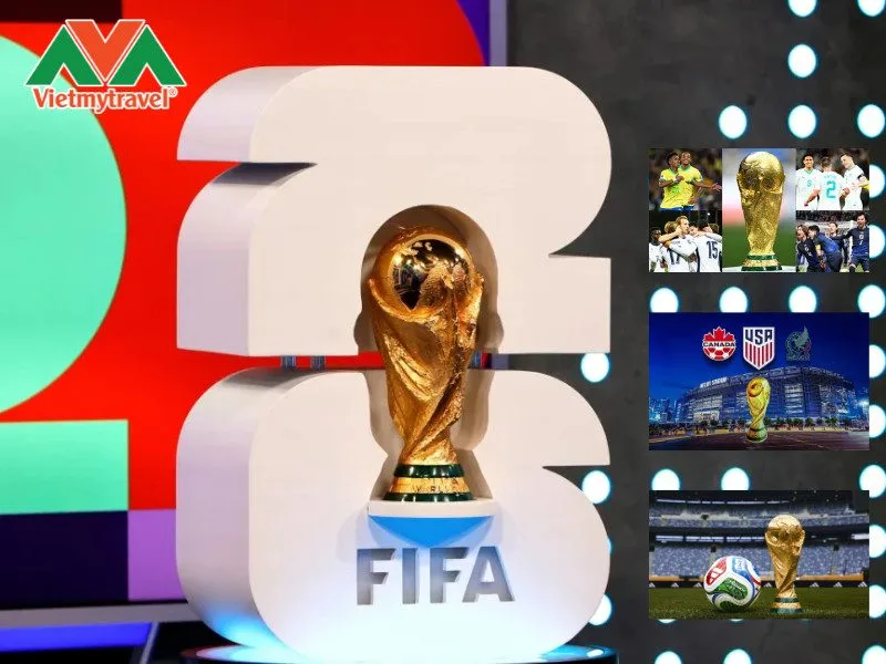 Giải Toán 9 Trang 19: Hướng Dẫn Chi Tiết Và Phương Pháp Cộng Đại Số Chuyên Sâu