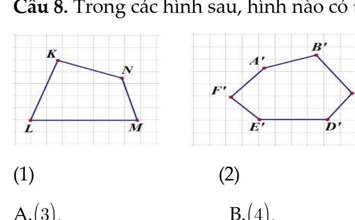 Giải Toán Lớp 8 Bài 7 Cánh Diều: Hình Vuông Chi Tiết Nhất