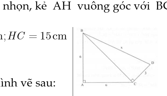 Chuyên Đề: Định Lý Py-ta-go Và Các Bài Toán Ứng Dụng