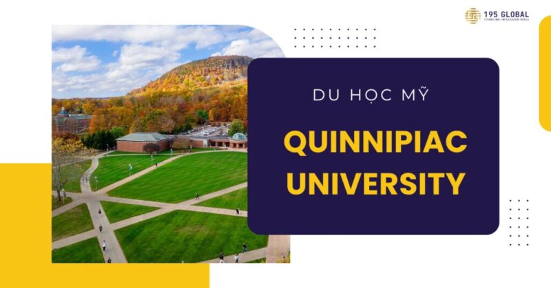 Tiếng Việt Lớp 3 Trang 105: Hướng Dẫn Chi Tiết Bài Tập Sách Kết Nối Tri Thức