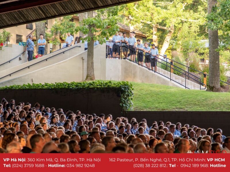 50+ Đề Thi Tuyển Sinh Lớp 6 Môn Tiếng Việt Năm 2025: Tài Liệu Ôn Luyện Toàn Diện