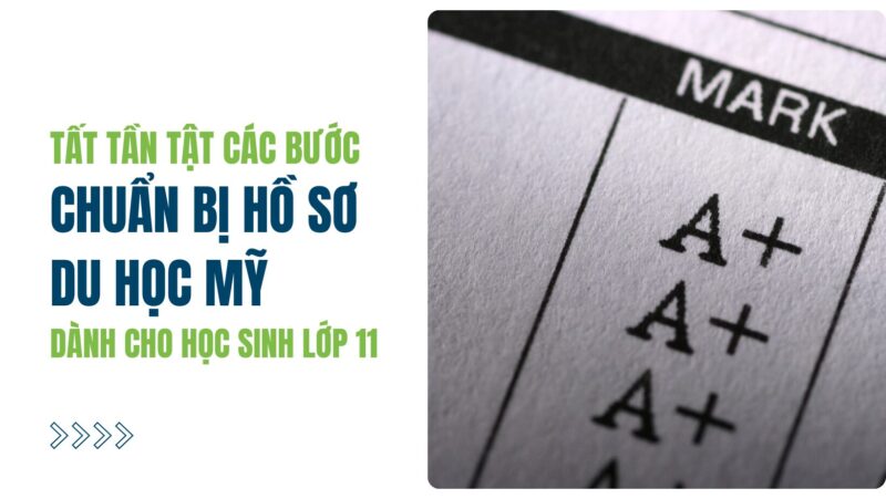 Giải Toán 8 Cánh Diều: Lộ Trình Toàn Diện Cho Học Sinh