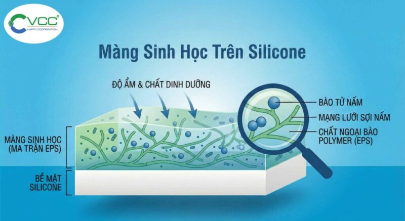 Cách Giải Toán Tổng Tỉ Lớp 4 Chuẩn Nhất Cho Học Sinh