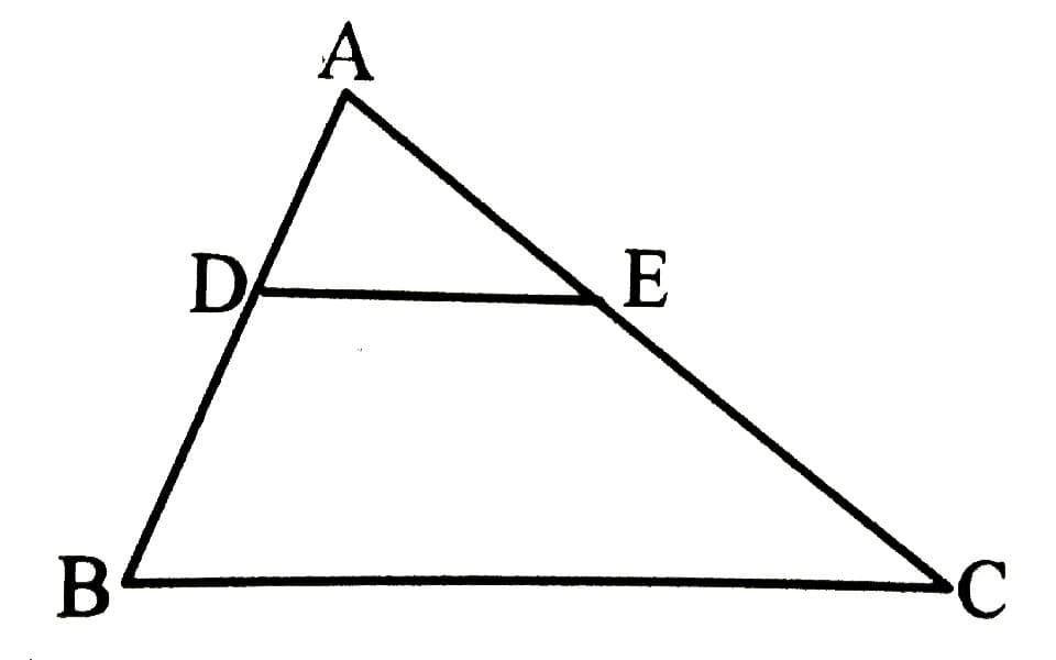 Định lý Thales Trong Tam Giác Lớp 8: Kiến Thức Cần Biết