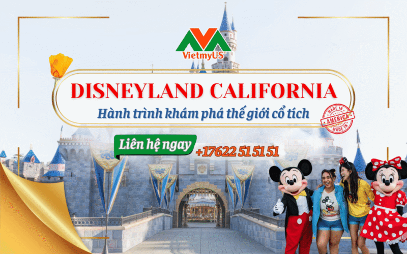 Khám Phá Thế Giới Ẩm Thực Việt Nam Qua Tên Gọi Tiếng Anh