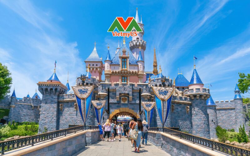 Khám Phá Thế Giới Ẩm Thực Việt Nam Qua Tên Gọi Tiếng Anh