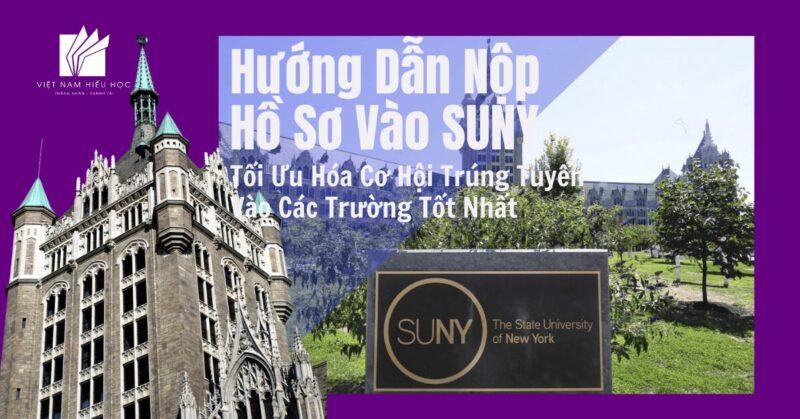 Hướng Dẫn Giải Bài Toán Lãi Suất và Dân Số Lớp 11 Chuẩn Xác Nhất