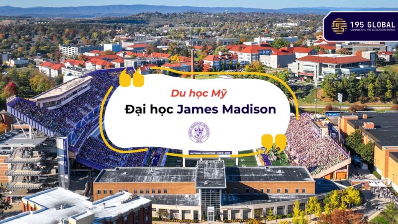 Khám Phá Chi Tiết Về Cung Sư Tử: Tính Cách, Tình Yêu, Sự Nghiệp Và Ý Nghĩa