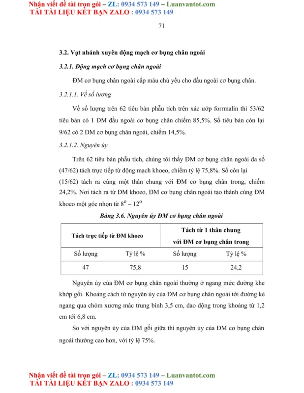 Giải Toán 7 Cánh Diều Bài 8: Đại Lượng Tỉ Lệ Nghịch (Chuẩn SEO KaTeX)