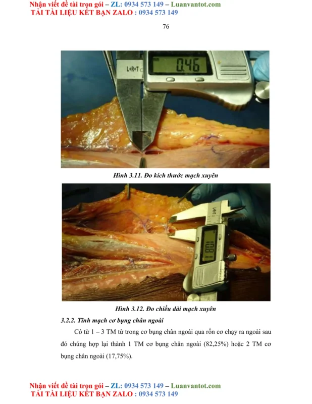 Giải Toán 7 Cánh Diều Bài 8: Đại Lượng Tỉ Lệ Nghịch (Chuẩn SEO KaTeX)