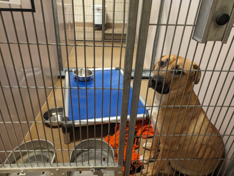 Những Diễn Giả Nổi Tiếng Việt Nam: Nguồn Cảm Hứng và Kiến Thức Vô Tận