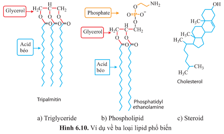 Các Phương Pháp Giải Toán Hóa Học Về Chất Béo (Triglycerit)