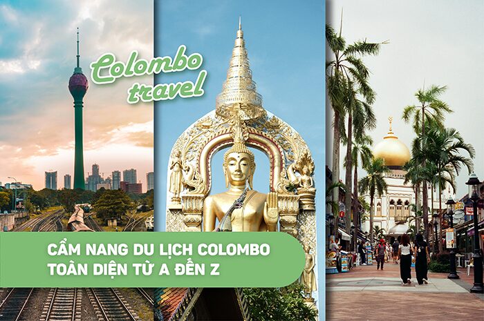 Từ Nối Tiếng Việt: Cẩm Nang Toàn Diện Về Cách Sử Dụng Và Tầm Quan Trọng