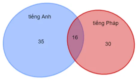 Sơ đồ Venn bài toán phiên dịch