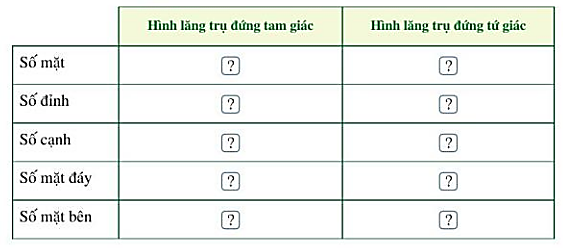 Giải Toán Lớp 7 Trang 82 Tập 1 Sách Cánh Diều: Hình Lăng Trụ Đứng