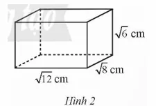 Hình 2: Hình hộp chữ nhật