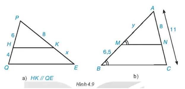 Bài 4.1 trang 80 Toán 8 Tập 1 | Kết nối tri thức Giải Toán 8