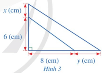 Giải Toán Lớp 6 Trang 17 Bài 6 Tập 1 Cánh Diều