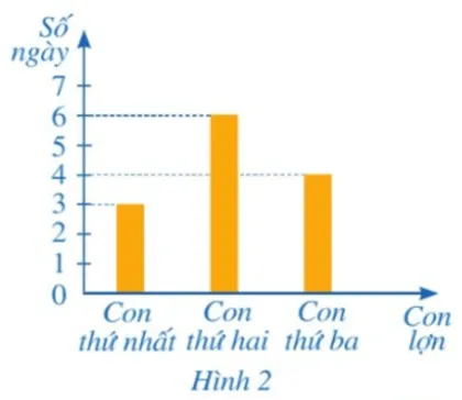 Biểu đồ số ngày ăn hết một bao thức ăn của ba con lợn