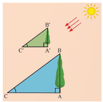 Giải Toán 9 Hình Học Bài Tập 1: Khái Niệm Cơ Bản Về Tỉ Số Lượng Giác Của Góc Nhọn