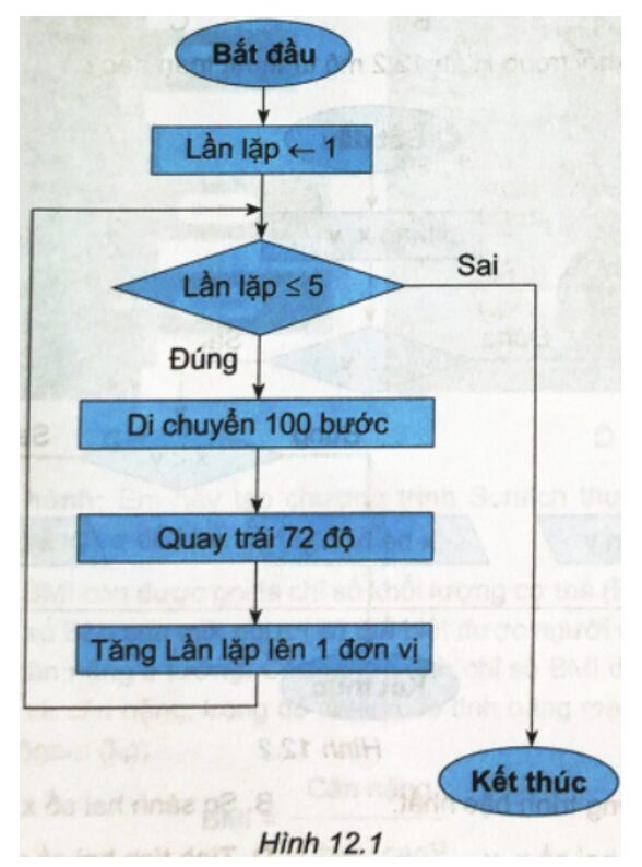 Giải SBT Toán lớp 6 Bài 3 trang 105 106 Cánh Diều: Đúng Sai Về Tam Giác Đều