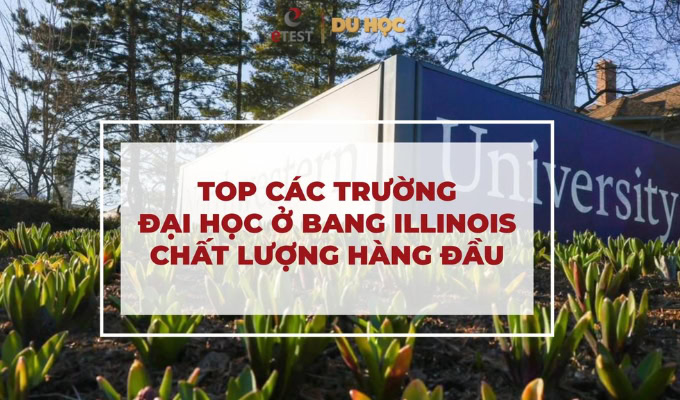 Các Hoạt Động Nổi Bật Tại Trường Tiểu Học Trương Văn Hải: Nâng Cao Chất Lượng Dạy và Học