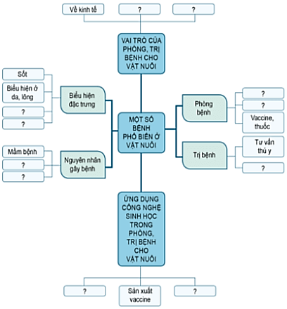 Giải SBT Toán Lớp 6 Bài 11 Trang 8, 9 Cánh Diều Chi Tiết