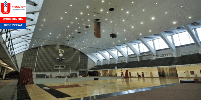 Đại Từ Điển Tiếng Việt: Cẩm Nang Toàn Diện Từ Nhà Sách Nguyễn Văn Cừ